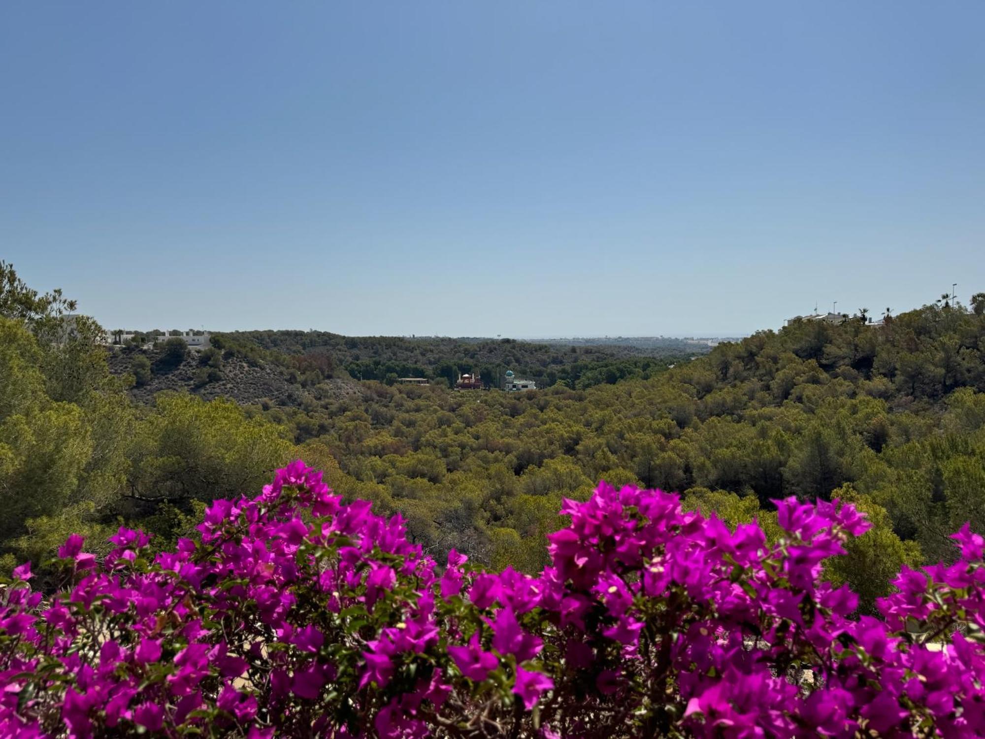 Orihuela - Las Ramblas - Casa Pino Dehesa de Campoamor  Экстерьер фото